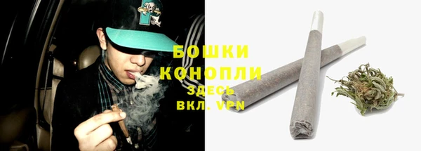 дурь Алексеевка