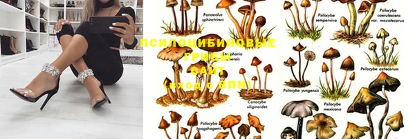 дурь Алексеевка